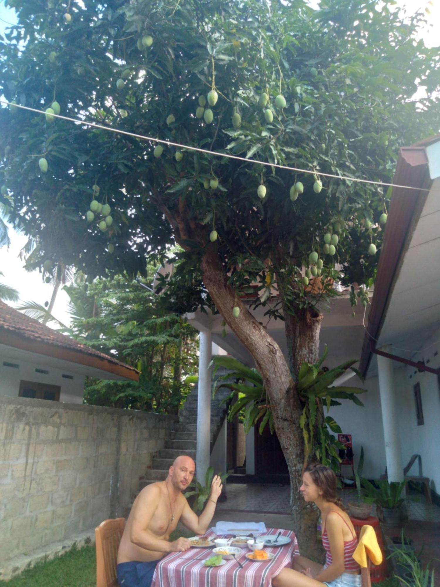 Sanithu Homestay And Villa Galle Bagian luar foto